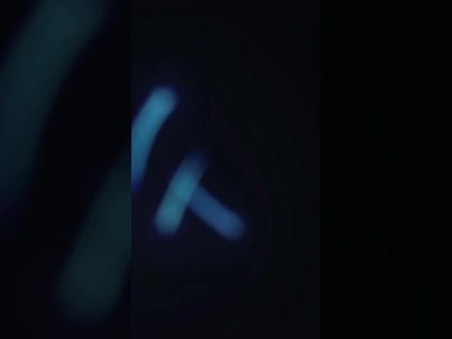 Plastic Conveyor Saury Sorting Machine Yellow Croaker Sorting Machine