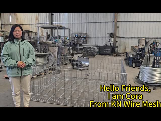 50x100mm 溶接されたガビオンロックボックス網 洪水対策のための壁フェンス