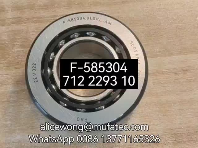 F-585304.01.SKL-AM F-585304 01 712 2293 10 Mercedes-Benz W447 W448 differential bearings double row ball bearings 44.45*95*30mm F-585302.02.SKL-AM Available