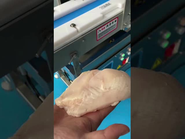 Electric Meat Processing Machine For Pet Food Central Kitchen Uniform Dicing Slicing video