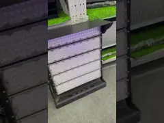 Lumière d'inondation extérieure 100w 200w Led 2700K-6500K ODM