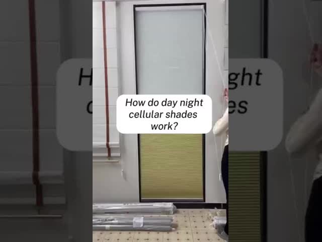 停電率100%の50%細胞陰の蜜蜂の巣は生地を盲目にする