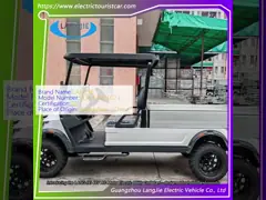 48V motor elektrisch golfkar voor 2 personen elektrisch bagagewagen met vracht voor hotel