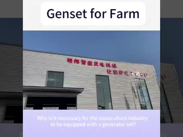Gerador diesel silencioso do motor 48KW 60KVA de Yangdong para a casa