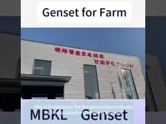 Yangdong Engine 48KW 60KVA Silent Diesel Generator For Home