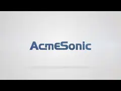 Dispositivo de limpieza ultrasónica de 160W con 3L de volumen de tanque Proceso de limpieza con agua caliente