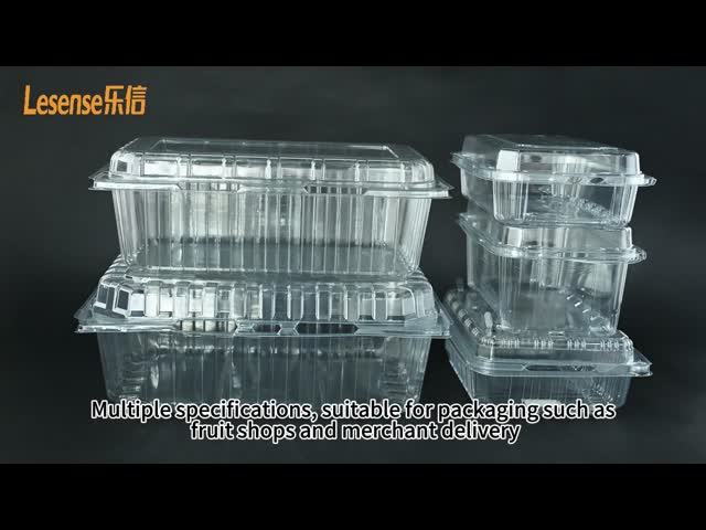 プラスチック サラダ プラスチック 食品 容器 透明 持ち帰り 食品 箱