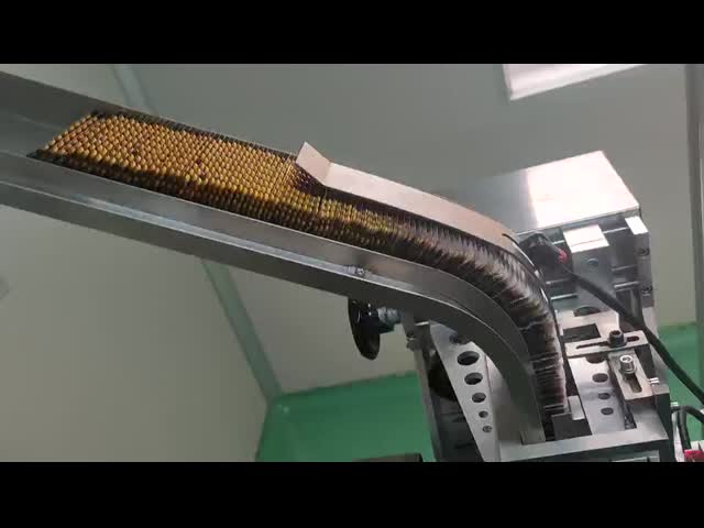 高速フルオートマティックカートニングボックスパッケージングマシン メーカー