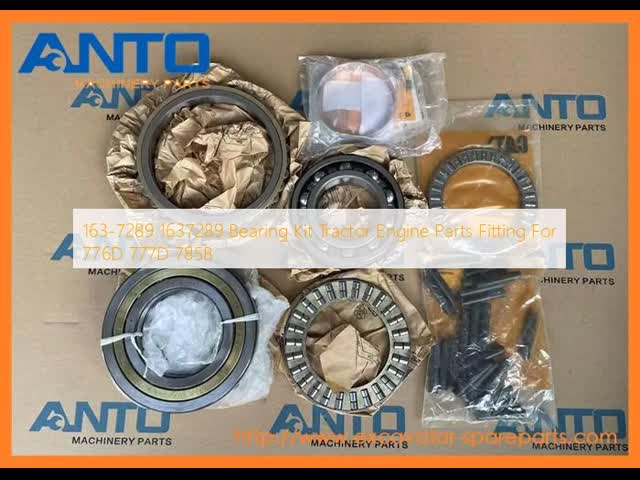 163-7289 1637289 776D 777D 785B用のレアリングキット トラクターエンジン部品
