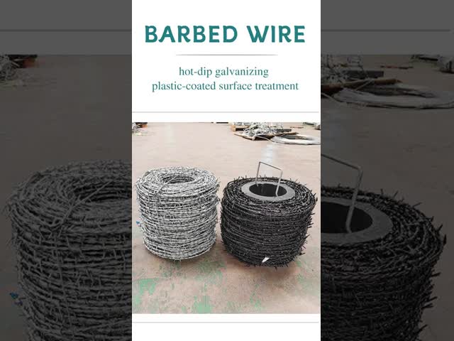 10 Gauge Galvanized Barbed Wire Fence Railways Highways Concertina Coil Wire