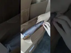 الجمعية الثانية لـ BTR 059k79314 لـ Xerox 700 700i 770 C75 J75