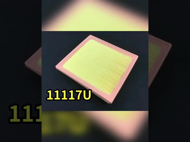 High Accuracy Toyota Air Filter Replacement 17801-25020 17801-F0050 17801-F0060