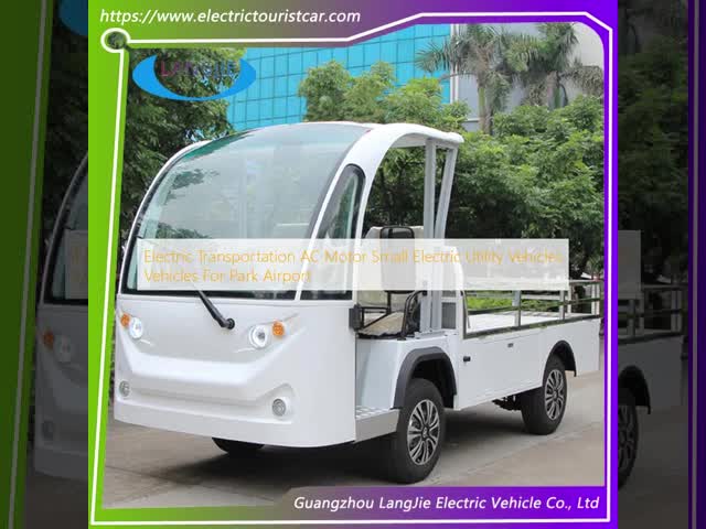 2 Seats Electric Transportation AC Motor Small Electric Utility Vehicles For Park Airport