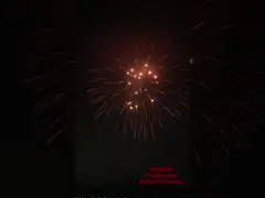 Chinese Factory Professional Pyrotechnics 3 4 5 6 Inch Display Shells Fireworks 1.3g Professional Fireworks Display 2025