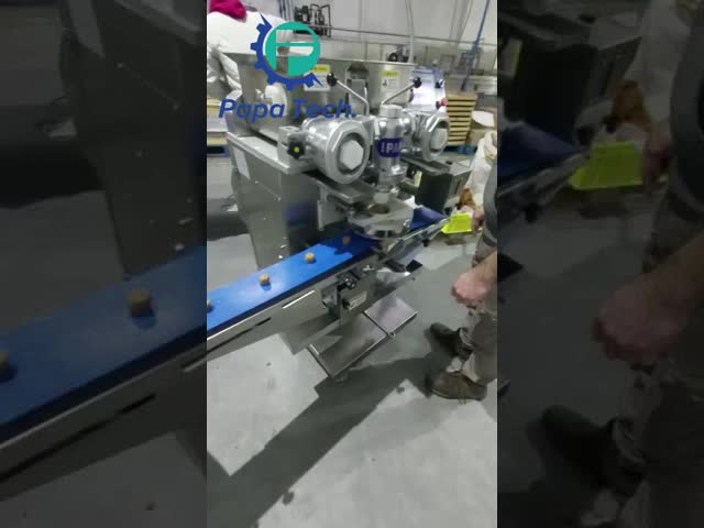 ココナッツフレイク / 食品加工のための回転式自動粉末塗装機械