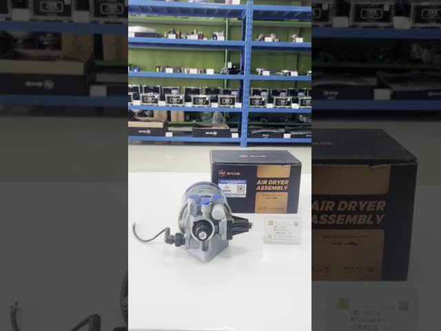 SMS-40278 Sinotruk Howoのトラックのシャーシの部品はドライヤーWG9100368471を乾燥する