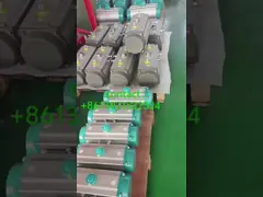 Low Temperature Silicone Sealing Pneumatic Valve Actuator Rack And Pinion Type