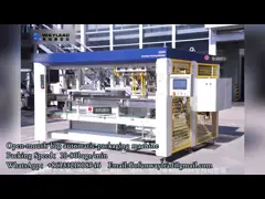 10-80bags Per Minute Selection Guide For Pouch Packing Machines In Food Processing Plants