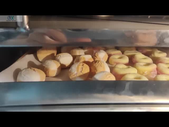 Multi Layer Candy Freeze Dryer 304 Stainless Steel Shelves 20KG Freeze Drying Machine