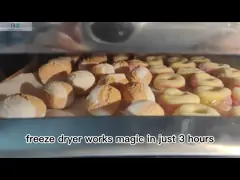 凍結乾燥菓子機 ダブル冷却システム 110V / 220V 電圧