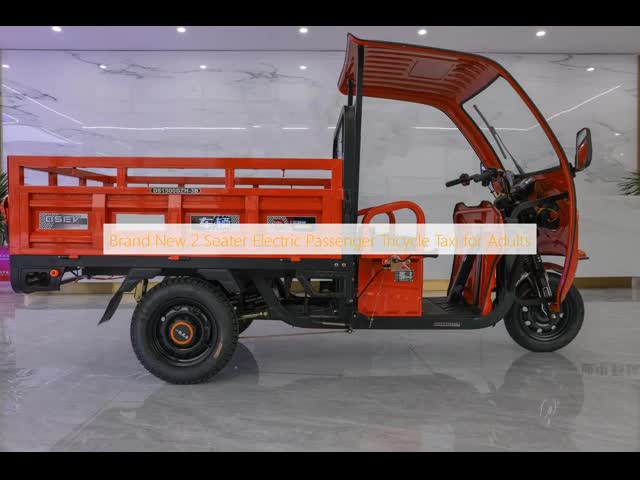 50KM/H 2 Seater Electric Passenger Tricycle For Adults
