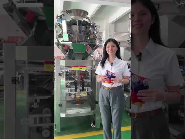 IP65自動粉のMultiheadの高速計重機