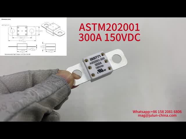 100A 125VDC 自動車電池 フューズ セラミック メタル 短回路 保護 高電流のみ