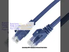 Yüksek Hızlı 1m-20m Ağ Patch Kabloları UTP/FTP/SFTP/SSTP Kalkan