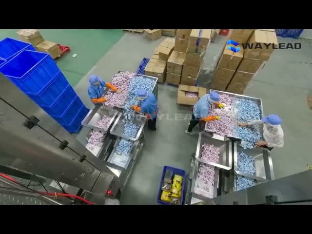 全自動ドイパック包装機 10-80袋/分 PLC自動操作システム