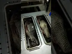 生きた魚 ユーザーフレンドリー MAP プラスチックボックス 密封機 トレイ 密封器 食品包装 video