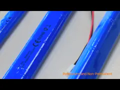 110V 240V Conversion Kit Emergency Light Power Supply Rechargeable