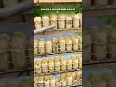 1,8% 10-HDA Jelly Natural Light Yellow real fresca orgânica video