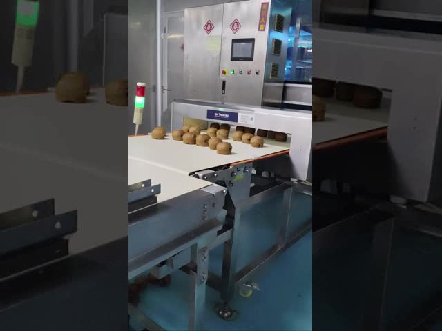 自動コンベヤー金属検出器 0.5mm 感度 食品/化粧品 原材料検査