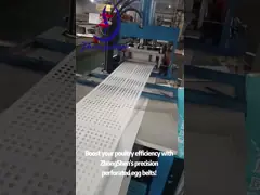 Innovative Perforated Egg Conveyor Belt For Poultry Farms