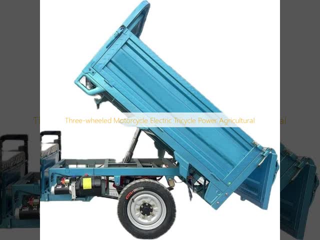 3 Wheel Cargo Three Wheeler Delivery Van Agricultural 50KM/H