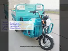 3 Wheel Cargo Three Wheeler Delivery Van Agricultural 50KM/H