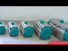 AT Series Rack And Pinion Pneumatic Actuators Source Factory