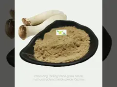 Food Grade Natural Mushroom Polysaccharide Powder Coprinus Comatus Extract
