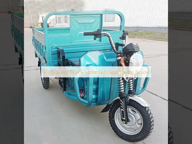 60V 800W Three Wheeler Delivery Van 50KM/H 90KM Driving Mileage