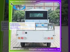 2 zitplaatsen Kleine elektrische vervoersvoertuigen 7.5 kW AC Motor Elektrische Transit Van Voor Park
