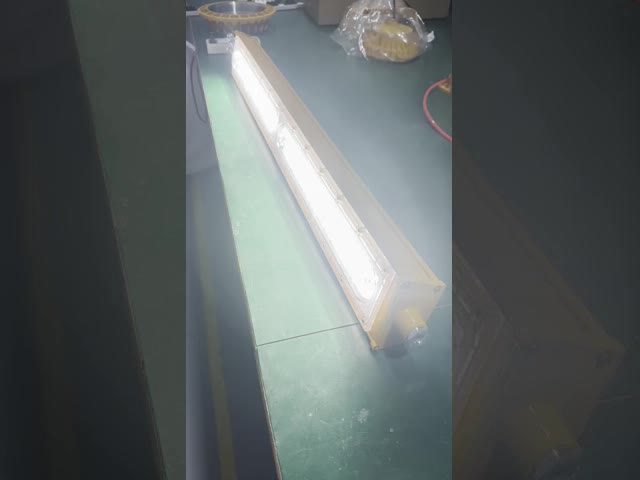 高品質の危険場所照明 プロの防爆ランプ Ip65 150w 100w 200w 防爆ランプ