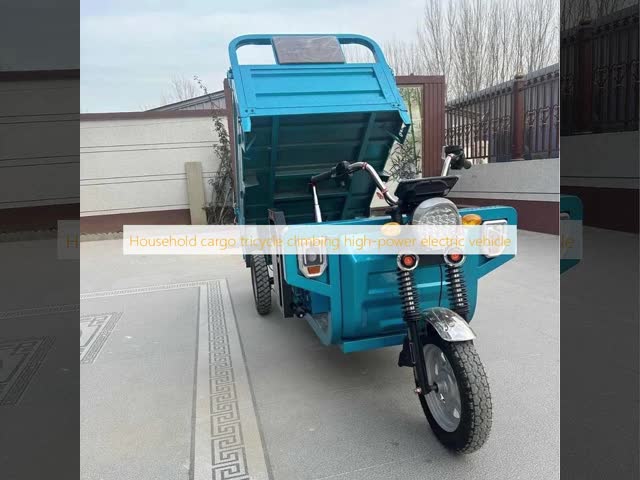 Household Cargo Tricycle Climbing High Power Three Wheeler Delivery Van