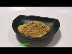 Wholesale Price 100% Natural Chia Seed extract Chia Seed Protein Powder