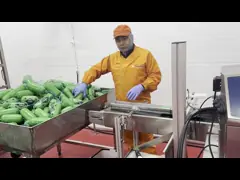 Food Industry X-Ray Inspection Machine For Aluminum Foil Pouches And Canned Goods Foreign Object Detection