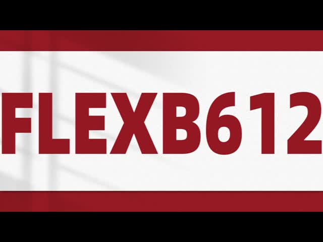 FLEXA612 長波非冷却赤外線カメラコア 640×512/12μm ウェアラブルデバイス用