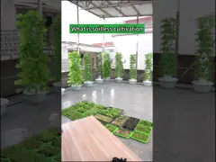 Vertical 5 Holes Each Layer Custom Multi-layer Petal Hydroponic Tower for Lettuce video