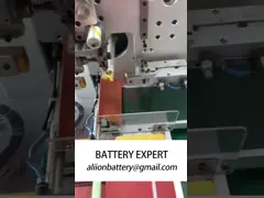 Lithium-Polymer-Batterie mit 12-Monats-Garantie enthält giftige Stoffe