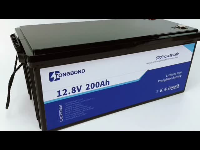 12V LiFePO4 Battery Pack With BMS For Home Energy Storage