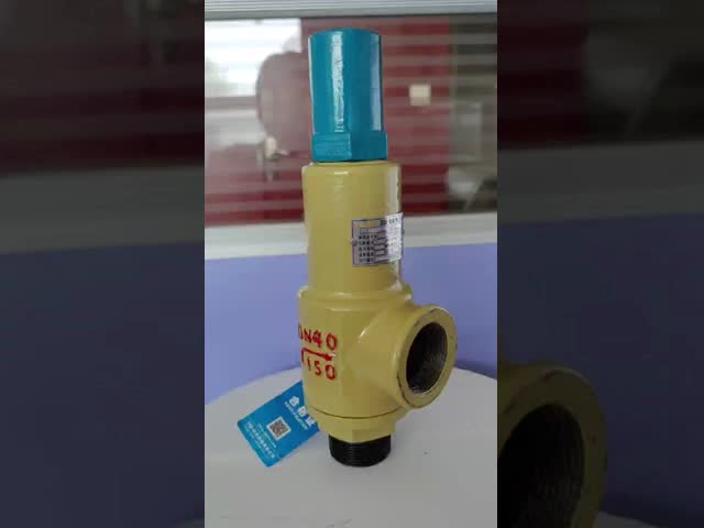 Spring Loaded Male Threaded Safety Valve WCB CF8 CF8M With Level Handle Operation