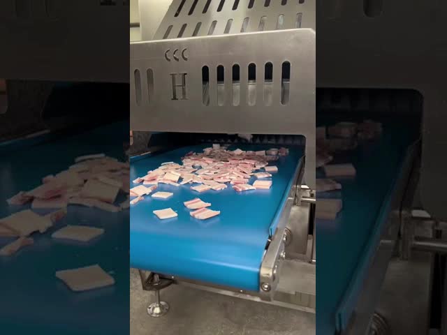 Continuous Frozen Meat Cutter Machine For Frozen Meat Blocks Fast Speed